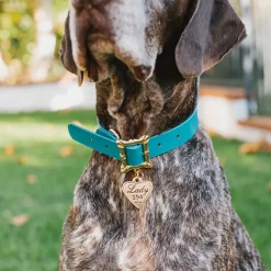 Lady and the Tramp Collar Movie Replica LADY 194 Heart Charm