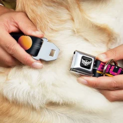 Lightyear Star Command Wings Logo Full Color Black/White Seatbelt Buckle Collar - BUZZ LIGHTYEAR Hyper Speed Spaceship Black/Multi Color