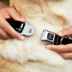 LINCOLN Four Point Star Emblem and Text Full Color Black/White Seatbelt Buckle Collar - LINCOLN Four Point Star Emblem and Text Black/White