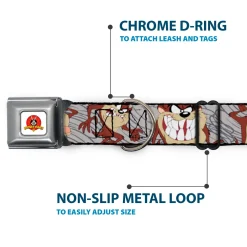 Looney Tunes Logo Full Color White Seatbelt Buckle Collar - Tasmanian Devil Expressions Gray Swirl