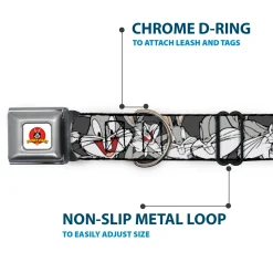 Looney Tunes Logo Full Color White Seatbelt Buckle Collar - Bugs Bunny CLOSE-UP Poses Charcoal