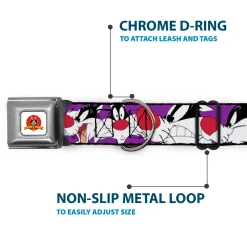 Looney Tunes Logo Full Color White Seatbelt Buckle Collar - Sylvester the Cat Expressions Purple