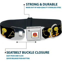 Looney Tunes Logo Full Color White Seatbelt Buckle Collar - Tweety Bird Poses CUTE AND SWEET Black/Yellow