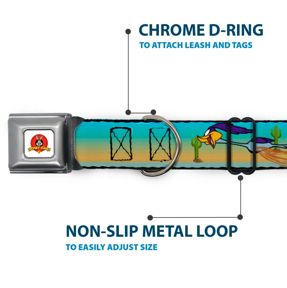 Looney Tunes Logo White Seatbelt Buckle Collar - Road Runner/Wile E. Coyote Scene1 Desert