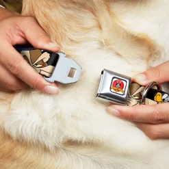 Looney Tunes Logo White Seatbelt Buckle Collar - Road Runner/Wile E. Coyote Expressions Stacked Black