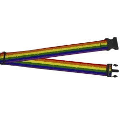 Luggage Strap - 2.0" - Rainbow Stripe Painted