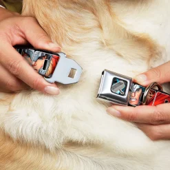 MARVEL AVENGERS Thor's Hammer Full Color Seatbelt Buckle Collar - THOR Poses/Hammer