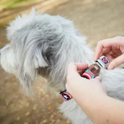 MARVEL COMICS Captain America Shield Full Color Navy Seatbelt Buckle Collar - Captain America Shield Repeat Navy