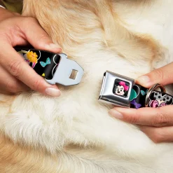 Mini Minnie Mouse Face CLOSE-UP Full Color Black Seatbelt Buckle Collar - Mini Minnie Expressions/Bows Black/Multi Color