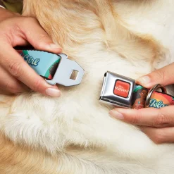 MOANA Title Logo Full Color Orange/White Seatbelt Buckle Collar - Moana ISLAND GIRL Rainbow Pose Blue/Multi Color