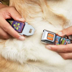 MOANA Title Logo Full Color Orange/Blue Seatbelt Buckle Collar - Moana MAKE WAVES Scene Blocks Blues/Orange