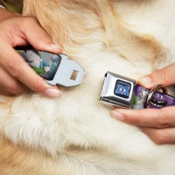 Monsters University Logo Full Color Blue/White Seatbelt Buckle Collar - Monsters University Character Lineup Gray