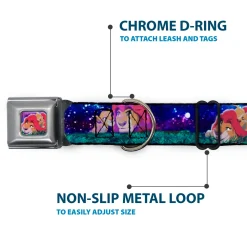 Mufasa & Simba Full Color Seatbelt Buckle Collar - Mufasa & Simba Night Poses