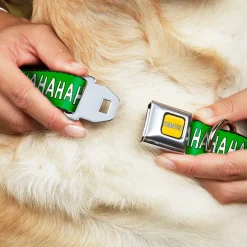 PEANUTS Title Logo Full Color Yellow/White Seatbelt Buckle Collar - Peanuts Snoopy and Woodstock Laughing HAHA Pose Green
