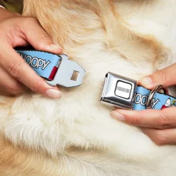 PEANUTS Title Logo Full Color Gray/White Seatbelt Buckle Collar - Peanuts Snoopy and Woodstock Dog House Pose and Text Sky Blue