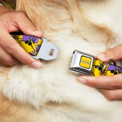 PEANUTS Title Logo Full Color Yellow/White Seatbelt Buckle Collar - Peanuts Woodstock Shades Pose Blocks Blue/Yellow/Black