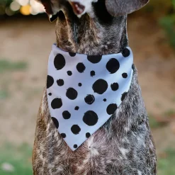 Pet Bandana - 101 Dalmatians Cruella's Spots White/Black