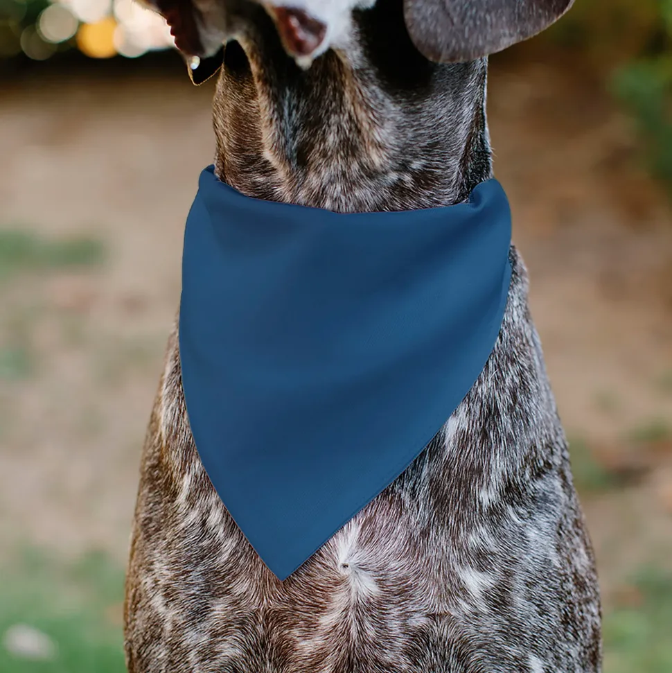 Pet Bandana - ADOPT ME Text and Paw Black/Lavender/Ivory