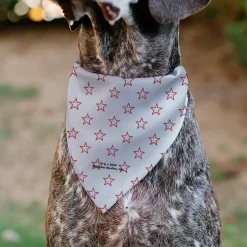 Pet Bandana - Bandana BETTY BOOP Face Heart and Text Stars White/Red