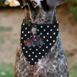 Pet Bandana - Bandana BETTY BOOP Biker Betty Winking Pose and Text Polka Dot Black/White/Yellow