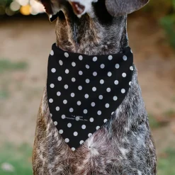 Pet Bandana - Bandana BETTY BOOP Biker Betty Winking Pose and Text Polka Dot Black/White/Yellow