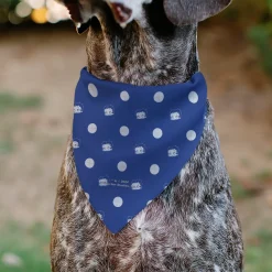 Pet Bandana - Bandana Betty Boop USA Heart Pose Polka Dot/Face Blue/White
