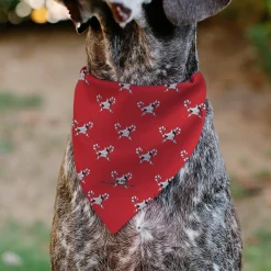 Pet Bandana - Bandana BETTY BOOP Holiday Gift Pose and Santa Betty Winking Icon Red
