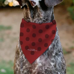 Pet Bandana - Bandana BETTY BOOP Face and Text Polka Dot Reds/Black/White