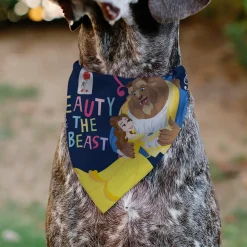 Pet Bandana - BEAUTY & THE BEAST Belle and Beast Dancing Pose Blue/Multi Color