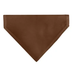 Pet Bandana - BIG BROTHER Text and Paw Browns