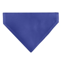 Pet Bandana - BIG SISTER Text and Paw Blues/Lavender