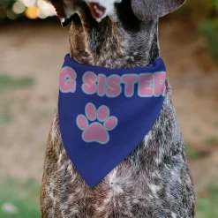 Pet Bandana - BIG SISTER Text and Paw Blues/Lavender