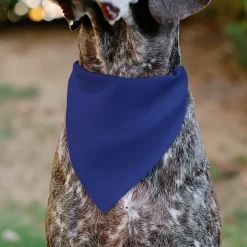 Pet Bandana - BIG SISTER Text and Paw Blues/Lavender