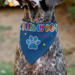 Pet Bandana - BIRTHDAY BOY Text Paw and Confetti Blue/Multi Color