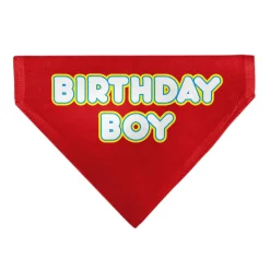 Pet Bandana - BIRTHDAY BOY Text Red/Yellow/Blue/White