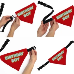 Pet Bandana - BIRTHDAY BOY Text Red/Yellow/Blue/White