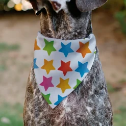 Pet Bandana - BIRTHDAY GIRL Text and Stars White/Multi Color