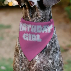 Pet Bandana - BIRTHDAY GIRL Text Pinks/White