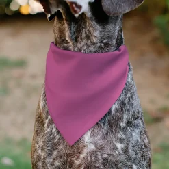 Pet Bandana - BIRTHDAY GIRL Text Pinks/White