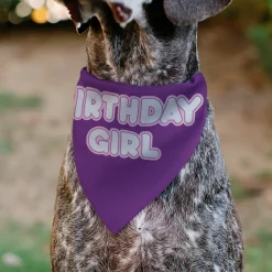 Pet Bandana - BIRTHDAY GIRL Text Purples/White