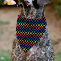 Pet Bandana - Checker Black/Rainbow Multi Color