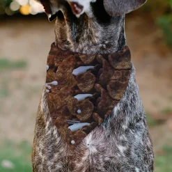 Pet Bandana - COCOA PEBBLES Fred Flintstone and Barney Rubble Cereal Box Print and Vivid Cereal Brown