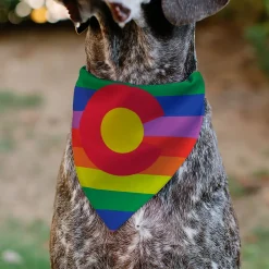 Pet Bandana - Colorado Flags2 Pride