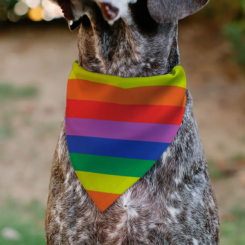Pet Bandana - Colorado Flags2 Pride