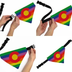 Pet Bandana - Colorado Flags2 Pride