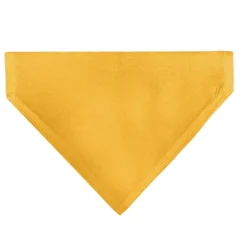 Pet Bandana - Disney Fab Five ORIGINAL BUDDIES Group Pose Black