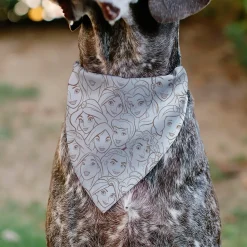 Pet Bandana - Disney Princess Faces Stacked White/Brown