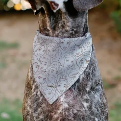 Pet Bandana - Disney Princess Faces Stacked White/Brown