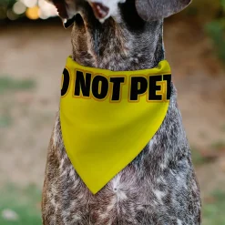 Pet Bandana - DO NOT PET Warning Yellows/Black