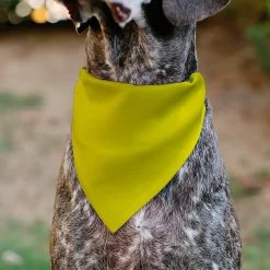 Pet Bandana - DO NOT PET Warning Yellows/Black